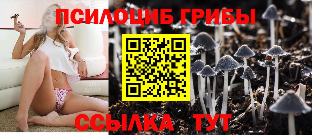 Йошкар-Ола  Галлюциногенные грибы Magic Shrooms  Вход с VPN  Псилоцибиновые грибы GOLDEN TEACHER 